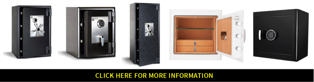 These are some of the best personal safes made today.